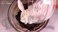 Шоколадный Брауни - Видео Рецепт - Шаг 5