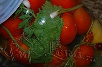 Квашеные(моченые) помидоры - Шаг 8